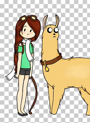 Horse Deer Donkey Camel PNG