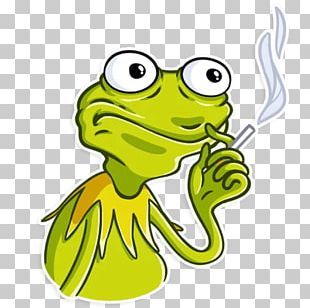 Kermit The Frog Sticker Telegram True Frog PNG
