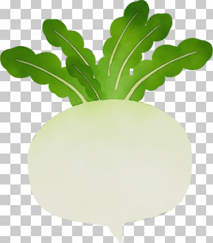Leaf Vegetable Share Share Price Leaf Cashier PNG