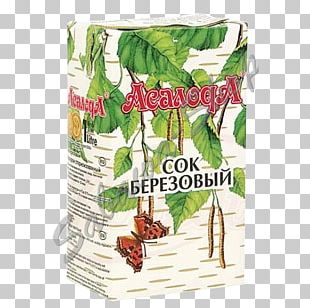 Fizzy Drinks Juice Birch Sap Kvass Energy Drink PNG