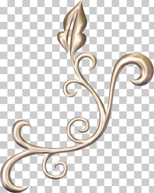 Photography Ornament Motif PNG