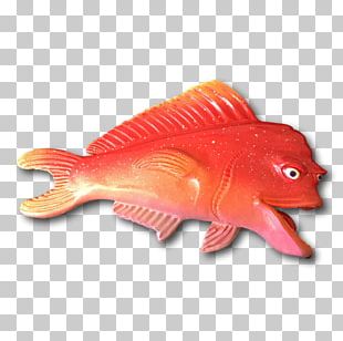 Northern Red Snapper Marine Biology Fish PNG