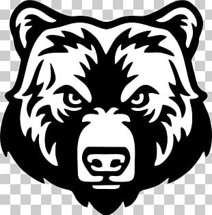 Polar Bear Grizzly Bear Graphics American Black Bear PNG
