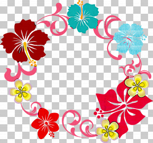 Hibiscus Frame Flower Frame PNG
