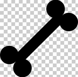 Dumbbell Computer Icons Photography PNG
