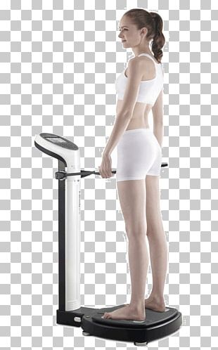 Body Composition InBody Bioelectrical Impedance Analysis Measurement Adipose Tissue PNG