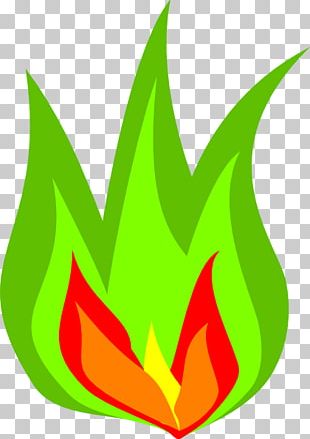 Barbecue Fire Computer Icons PNG