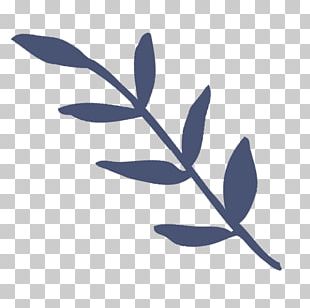 Twig Desktop Plant Stem Leaf Computer PNG