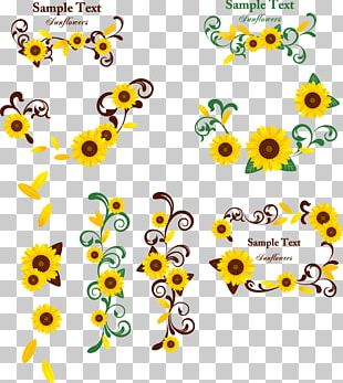 Floral Design Common Sunflower Cartoon PNG, Clipart, Bird, Cartoon ...