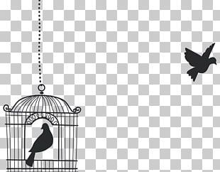 Wall Decal Bumper Sticker Wing PNG