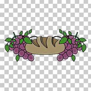 Grape Grapevine Family Plant Leaf Vitis PNG