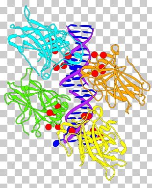 protein structure download free