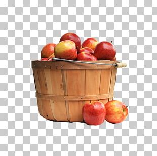 Wicker Basket Of Fruit Vegetable PNG, Clipart, Bask, Basket, Can Stock ...