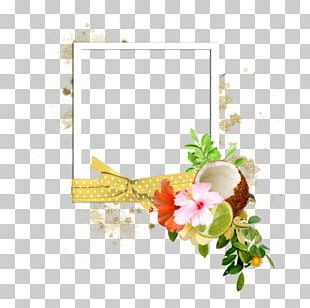 Frames PNG