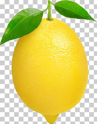 Lemon PNG, Clipart, Background, Border, Border Texture, Branch, Citric ...