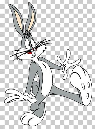 Lola Bunny Bugs Bunny Looney Tunes Rabbit Drawing PNG, Clipart, Animals ...