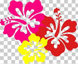 Hawaii Flower Hibiscus PNG, Clipart, Black And White, Clip Art, Desktop ...