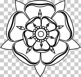 Drawing Line Art Tudor Rose PNG