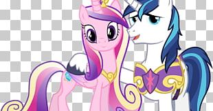 Shining Armor Princess Cadance My Little Pony: Equestria Girls PNG ...