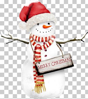 Snowman Graphics Portable Network Graphics PNG, Clipart, Beak, Bird ...