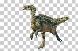 Velociraptor Tyrannosaurus Dinosaur PNG, Clipart, Clip Art, Dinosaur ...