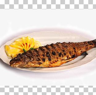 Shashlik Barbecue Trout Meat Atlantic Salmon PNG
