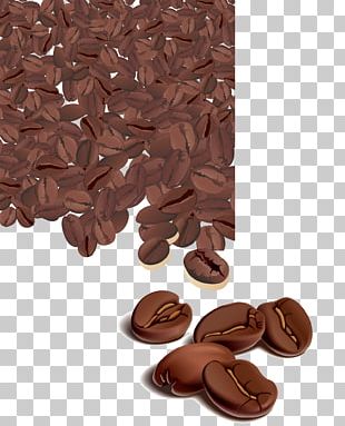 Arabica Coffee Cafe Coffee Bean PNG, Clipart, Background, Background ...