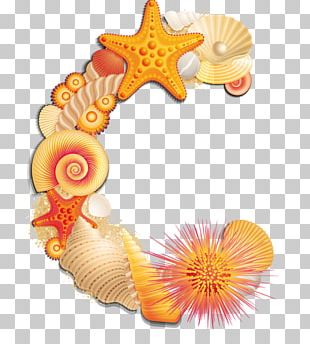 Seashell Seaside Resort PNG, Clipart, Animals, Beach, Border Frame ...