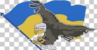 Eagle Beak PNG