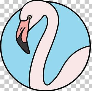 Lisbon Tagus Beak Birdwatching PNG