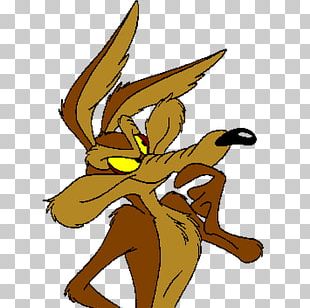 Wile E. Coyote And The Road Runner Cartoon Looney Tunes PNG, Clipart ...