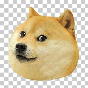Shiba Inu Doge YouTube PNG, Clipart, Bread, Desktop Wallpaper ...