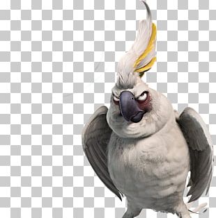 Nigel Blu Linda Film Rio Png Clipart 11 Animated Cartoon Animation Beak Bird Free Png Download