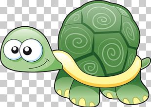 Turtle Cartoon Drawing PNG, Clipart, Animals, Big, Big Eyes, Bigheaded ...