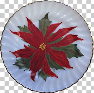 Poinsettia Flower Taxco Christmas Plant PNG