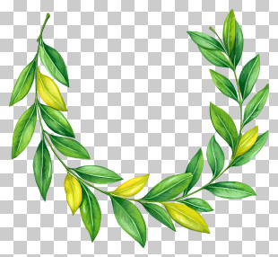 Mango Leaf Toran - Green Leafy Garland PNG