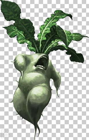 Mandrake fundo png & imagem png - O Mandrake Desenho De Planta De Raiz -  Mandrake png transparente grátis