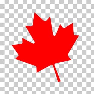 National Flag Of Canada Day Ontario July 1 Parade PNG, Clipart, Canada ...