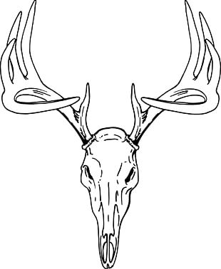 Reindeer Antler Elk Red Deer PNG, Clipart, Animals, Antler, Askartelu ...