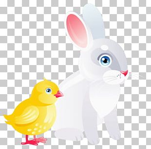 Domestic Rabbit Easter Bunny Duck PNG