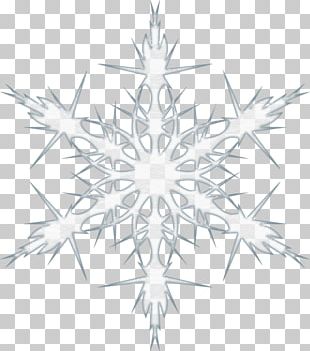 Hexagon Snowflake Euclidean Ice Ih PNG