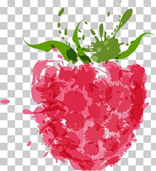 Raspberry Illustration PNG