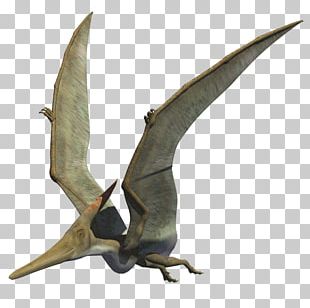 Quetzalcoatlus Pterosaurs Pteranodon Flight Late Cretaceous PNG ...