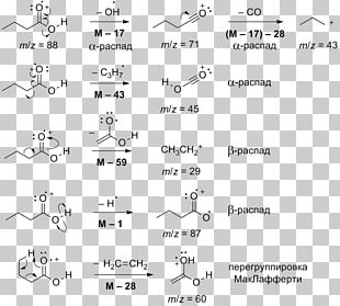 Butyric Acid Carboxylic Acid Adipic Acid Organic Compound PNG