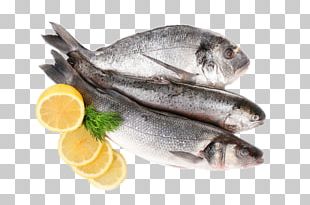Fish As Food Sardine PNG, Clipart, Animal, Animals, Aquarium Fish ...