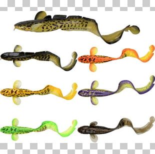 Northern Pike Fishing Bait Burbot PNG, Clipart, Animal Source