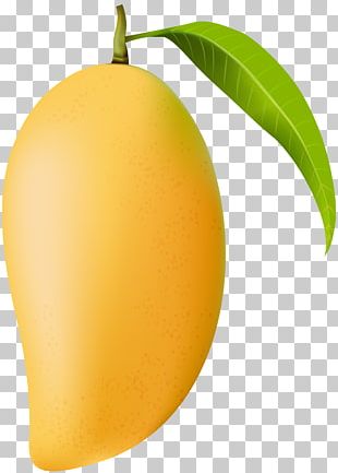How To Draw Mango In 3 Easy Steps