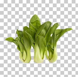 Chard Vegetable Komatsuna Spring Greens Png Clipart Avatar Chard