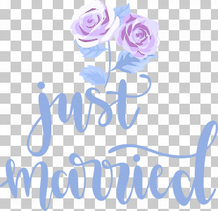 Just Married Wedding PNG
