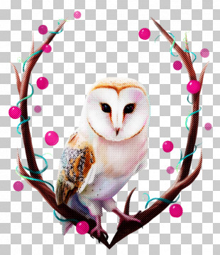 free swimming clipart pictures of owls